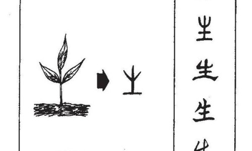 墨鱼头怎么吃法网墨鱼头图片知识网站,分享墨鱼头的做法大全大全